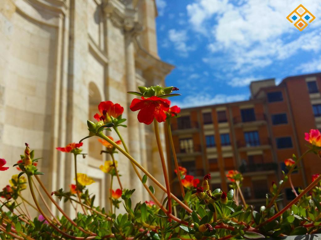 Sa Domu De Ajaja Apartments Cagliari Eksteriør billede